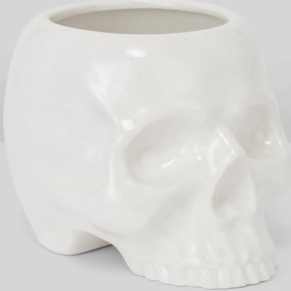 Cranium Planter
