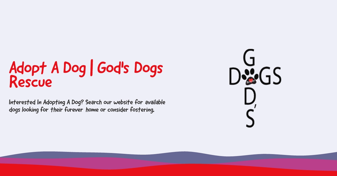 Adopt A Dog | God's Dogs Rescue