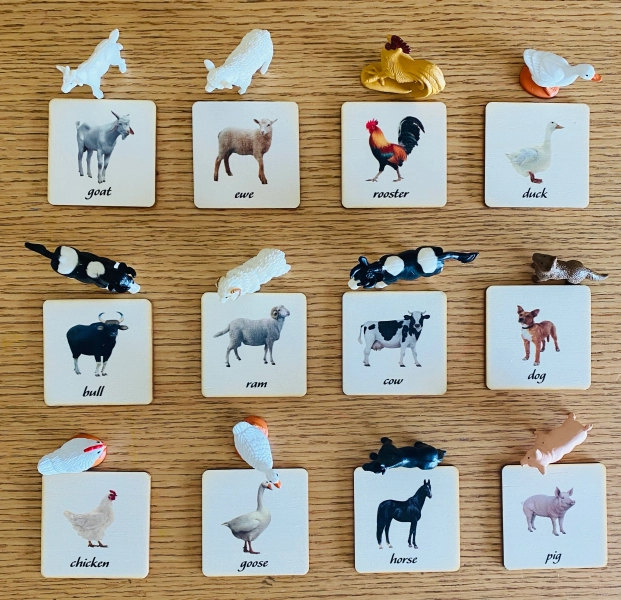 Montessori and Waldorf learning Farm Animal, sustainable match toys cards perfect for homeschooling.