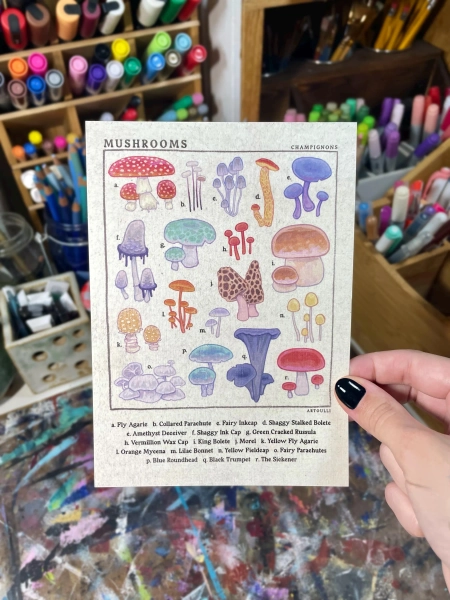 Mushroom Identification Guide