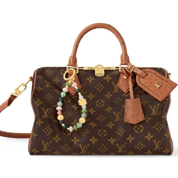 Louis Vuitton Speedy Soft 30 Boho Monogram