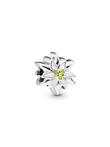 Charm Stella Alpina