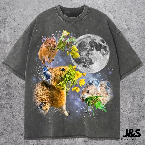 Three Pika Retro Graphic Tshirt, Funny Moon Nature Shirt, Cute Oversized Animal Tee, Vintage Wildlife Top, Gift for Him Her, Comfort Colors