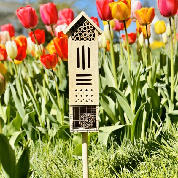 BestSeller Wooden Insect House for Bees, Bugs, Butterflies, Hummingbirds, Ladybugs Home. Beehive Hang it, Stake it, Great Gift Garden & Yard