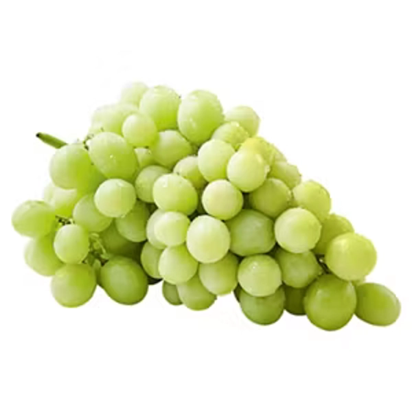 White Seedless Grapes Loose