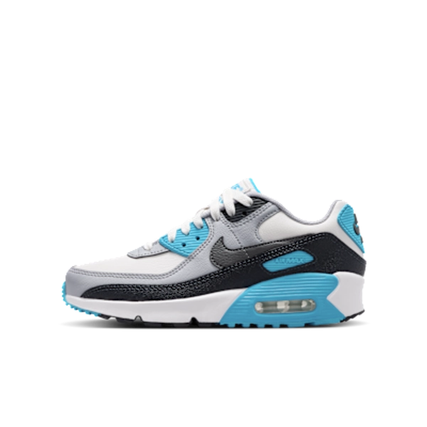 Nike Air Max 90 LTR Big Kids’ Shoes