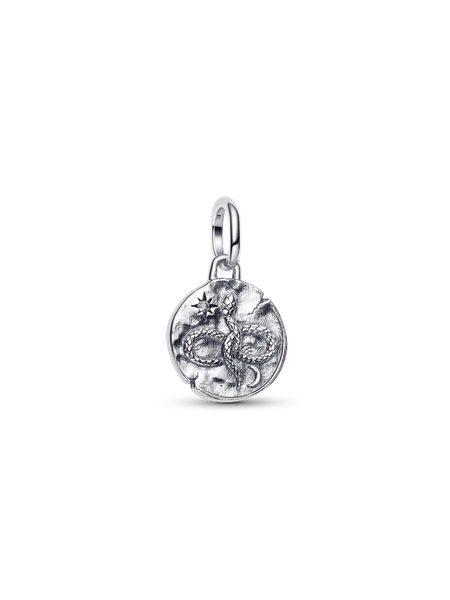 Infinity Snake Talisman Charm
