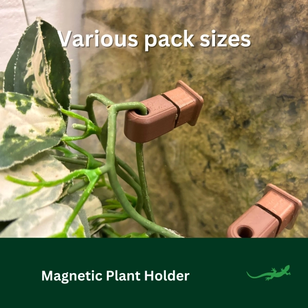 MAGNETIC Plant Holder