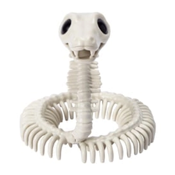 Halloween Skeleton Snake Décor | Five Below