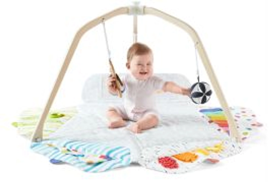 The Play Gym