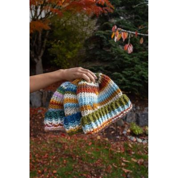 CUSTOMIZABLE, Handmade, Multi-colored, National Parks Themed, Scrap Yarn Knit Beanie