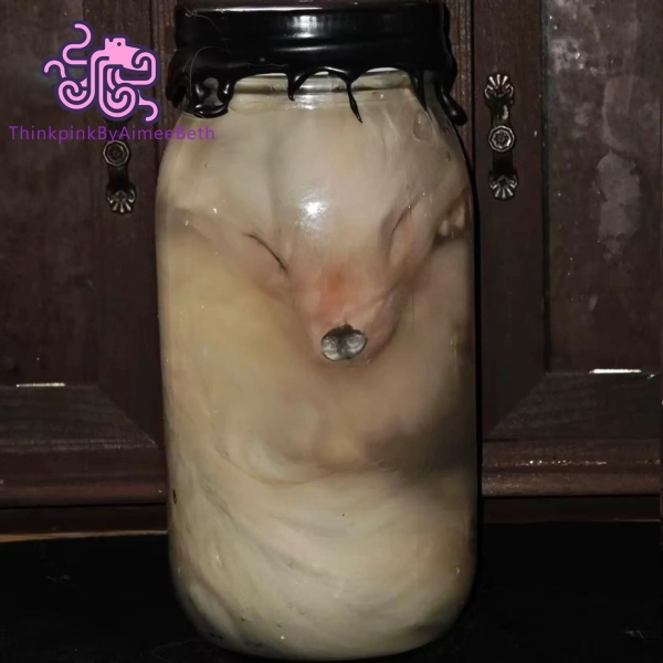 Real Fox Wet Specimen Glass Jar Taxidermy Oddity Curio Gothic Decor Unique Collectible Gift for Fox Lovers and Curiosity Cabinet