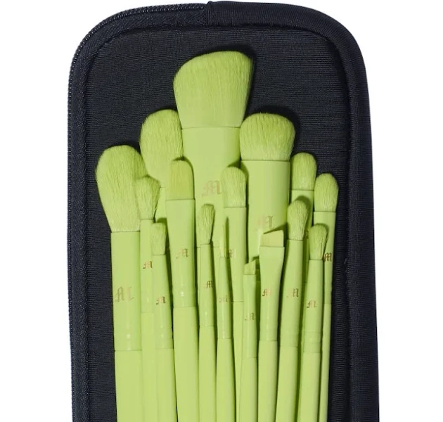 Made by Mitchell 16 Piece Brush Set with Brush Pouch