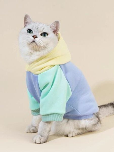 PETSIN Color Block Pet Hoodie For Cats - Soft And Warm Hoodie For Cats; Ideal For Autumn And Winter Lounging Indoors, Cozy Evenings, Festive Gatherings, Holiday Celebrations, And Memorable Family Photos.