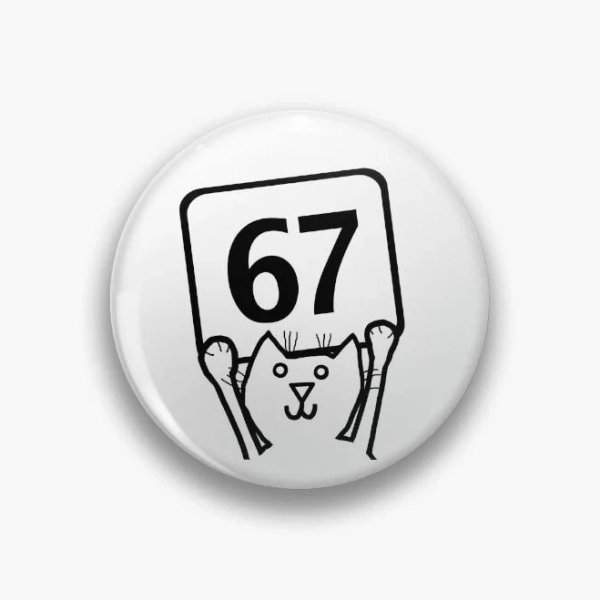 Six Seven 67 Funny Cat Portrait Memes Pin