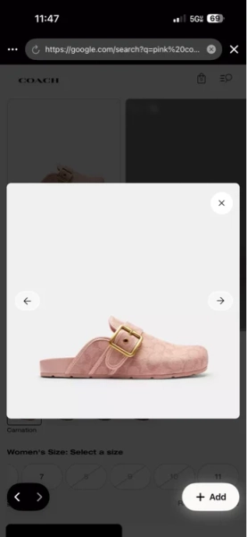 Archival Buckle Clog In Signature Jacquard Canvas