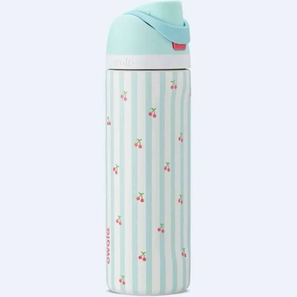 Owala FreeSip Insulated Stainless Steel Water Bottle with Straw 32oz (Color: Birthday Bash Pillow Fight)