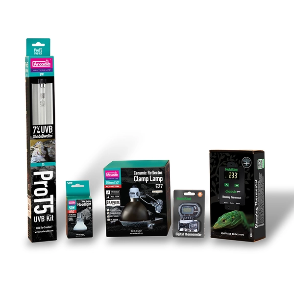 Lighting and heating pack