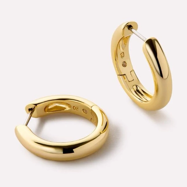 Ana Luisa Giulia Large Hoop Earrings