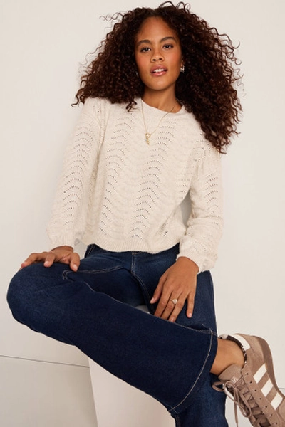 Sara Pointelle Pullover Sweater