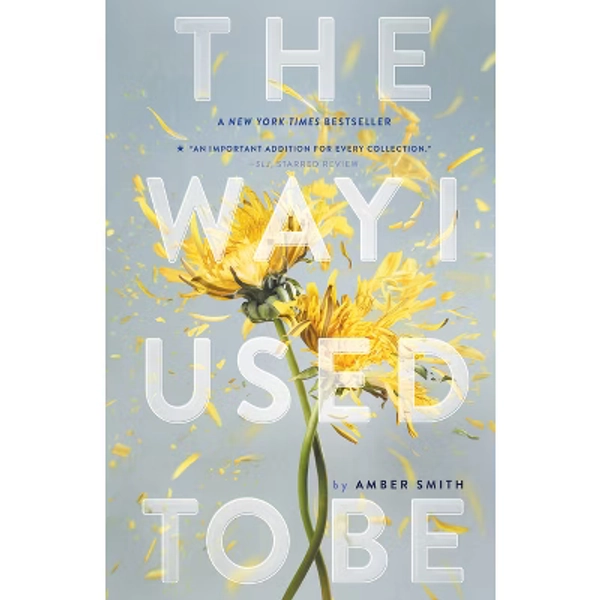 Way I Used to Be (Reprint) (Paperback) (Amber Smith)