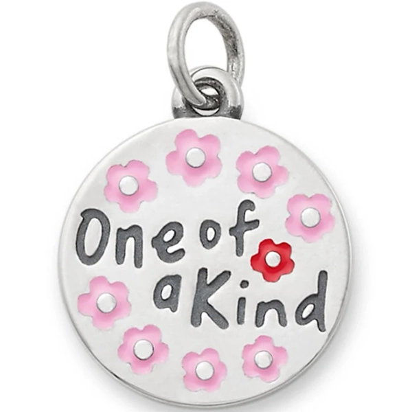 James Avery Sterling Silver Enamel One of a Kind Charm