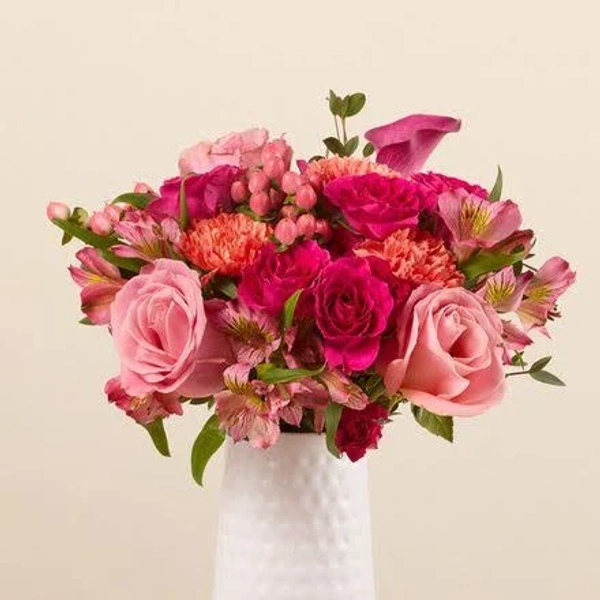 Flowers🌷🌺🌹