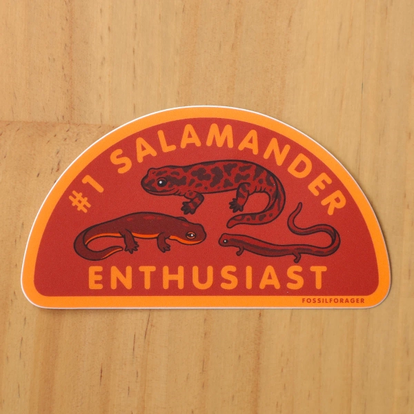 #1 Salamander Enthusiast Sticker
