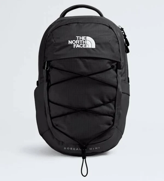 The North Face Borealis Mini Backpack