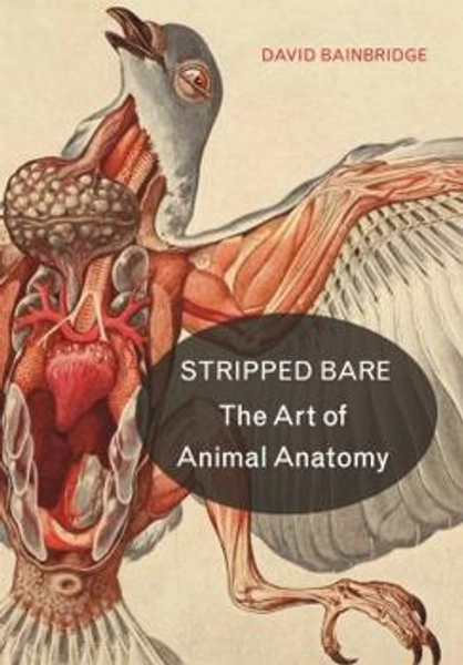 Stripped Bare: The Art of Animal... book by David Bainbridge