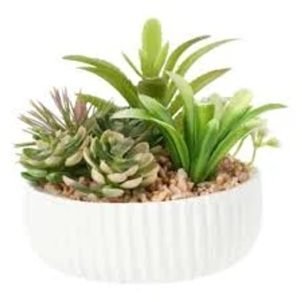 Five Below Faux Succulent Arrangement in Cement Pot - White