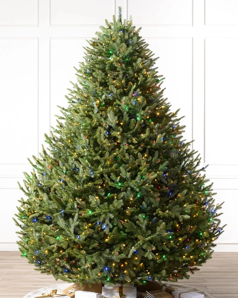 BH Balsam Fir® Christmas Tree