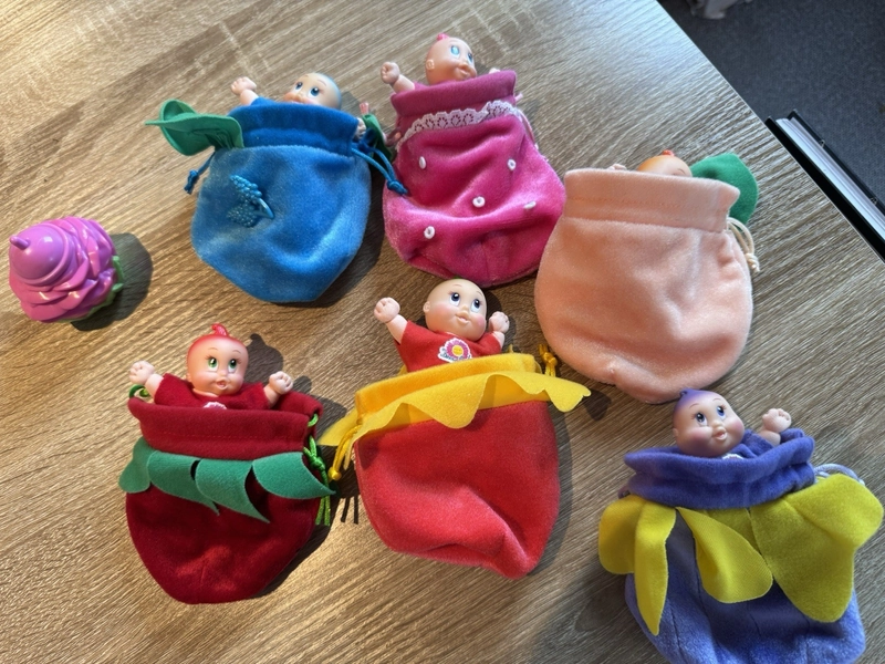 Very Rare Vintage  Dream Garden babies  complete set Of 6 In Pouches 80's