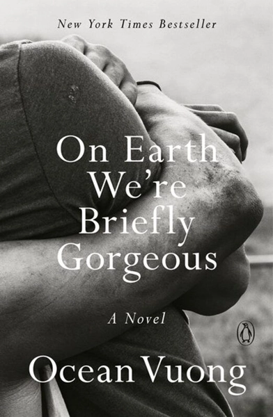 On Earth We're Briefly Gorgeous: A Novel (Paperback)