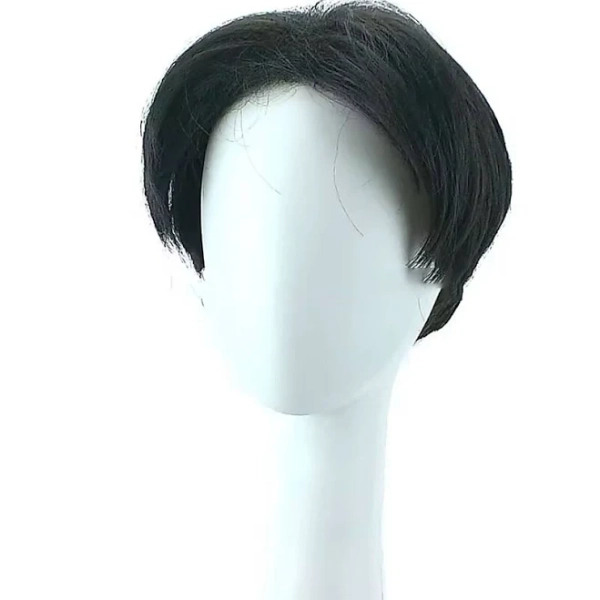 Men's Straight Synthetic Hair Wig