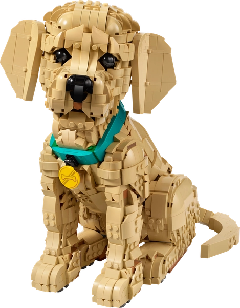 Le chiot Golden Retriever