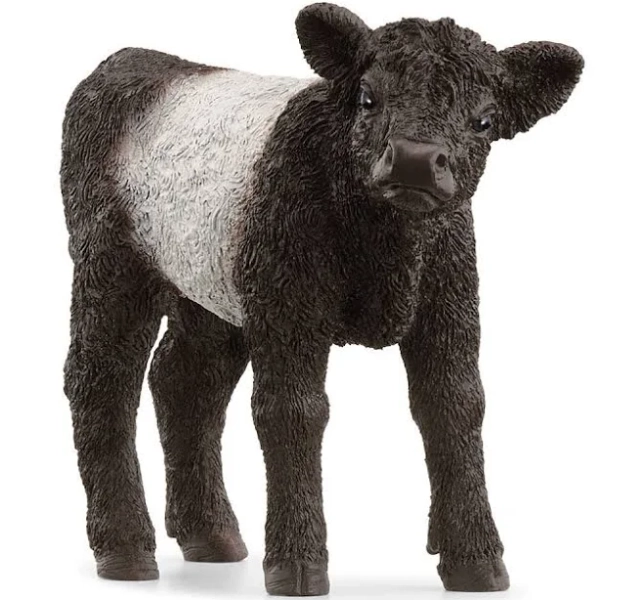 Schleich Galloway Calf
