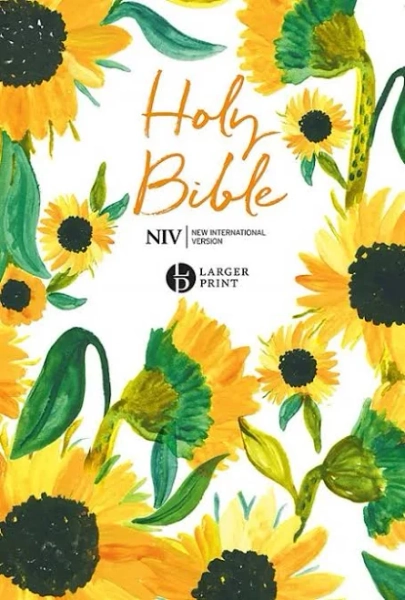 NIV Larger Print Soft-Tone Bible
