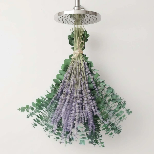 shower & other bathroom plants