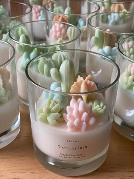 Terrarium Candle | Bloomspa
