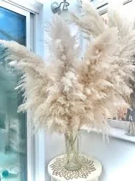 XL Cream Fluffy Natural Dried Pampas Grass Stem