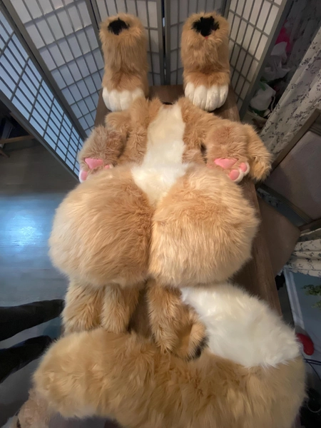 brown and white full suit (no head included)