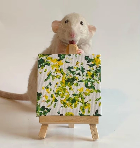 Custom Miniature Rat Painting 3”x3” With Easel