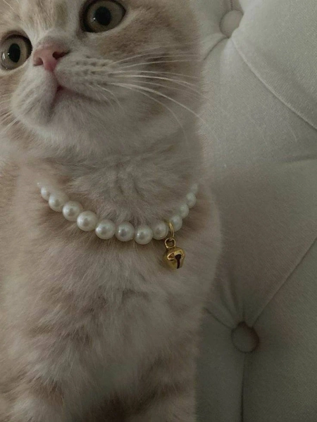 Elegant Handmade Pearl Cat Collar with Selection of Pendants - suitable for small dogs, bunnies