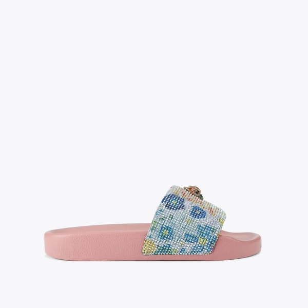 Meena Eagle Slide