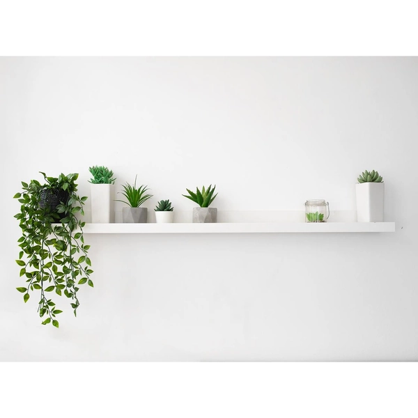 Poplar Floating Shelves