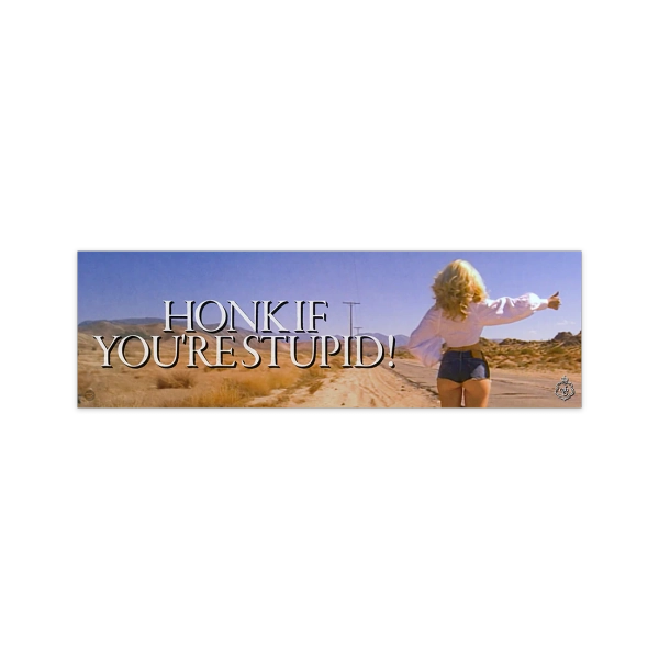 Honk If You're Stupid! Bumper Sticker - Sabrina Carpenter Official Store