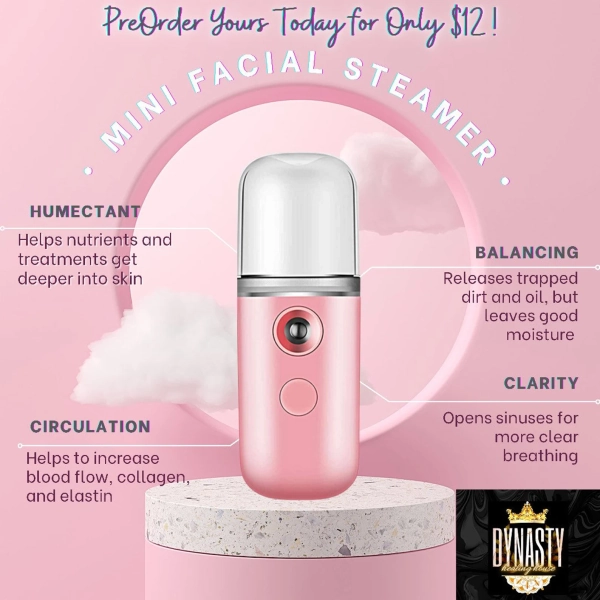 Mini Facial Steamer - Etsy Canada