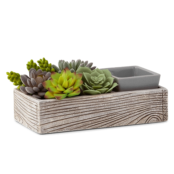Suc-cute-lent Warmer