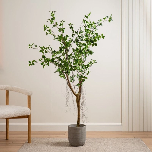 Real Touch Mini Ficus Tree